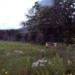 Kreislehrbienenstand Lützelsdorf