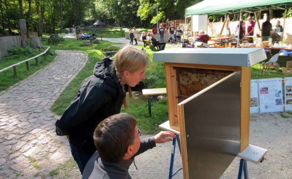 Herbstfest im Wildpark Hundshaupten. Foto: W.D. Schröber