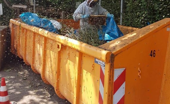 Unsachgemäße Entsorgung von Honigresten am Friedhof in Reuth