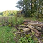 BioDiv Projekt Teilfläche