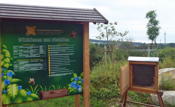 Infotafel am Kreislehrbienenstand