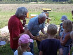 Kinderprogramm im Kreislehrbienenstand