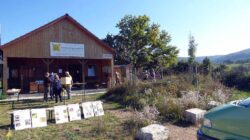 Klimawoche im Kreislehrbienenstand