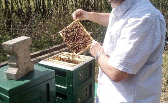 Bienensachverständiger René Theurich © René Theurich