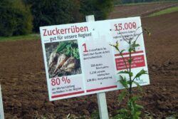 Gesehen in Eggolsheim, interessante Information. Es fehlt der Hinweis: Auf diesem Acker mit Gift hochgezogen! Foto: W-D. Schröber