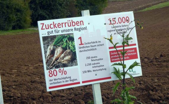 Gesehen in Eggolsheim, interessante Information. Es fehlt der Hinweis: Auf diesem Acker mit Gift hochgezogen! Foto: W-D. Schröber