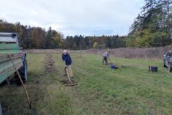 Mahd-Recycling, Pflanzung © W.-D. Schröber